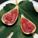 Stella Fig Tree ™ large sweet