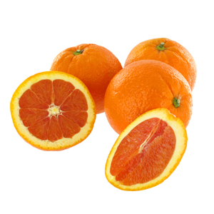 Cara Cara Navel Orange Citrus Tree