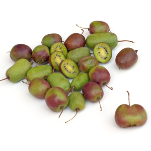 Hardy Kiwi Bundle, Kiwi Berries, Fuzzless Kiwis