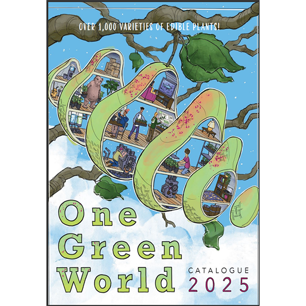 One Green World Catalog One Green World
