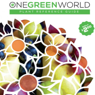 Catalog / Reference Guide