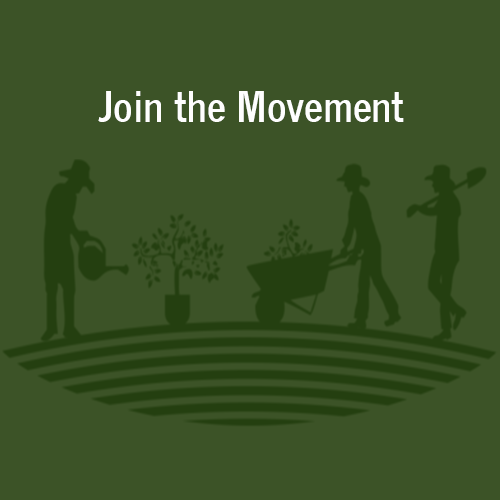 Home One Green World