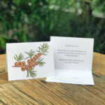 OGW Gift Certificate