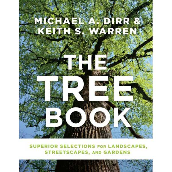 Tara Books “The Leef Tree” tea】Tara Books “The Leef Tree” 91n8Hy+4UGL._UF350,350_QL50_.jpg