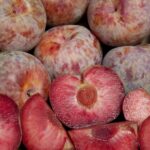 Dapple Dandy Pluot Tree