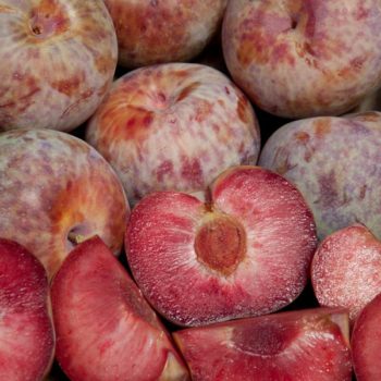 Dapple Dandy Pluot