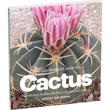 The Gardener’s Guide to Cactus