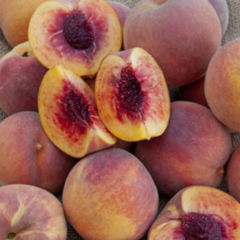Typical Peach Ripening Time Chart
