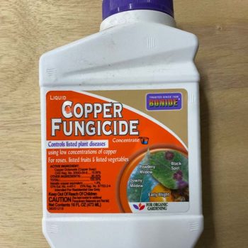 Copper Fungicide Treatment