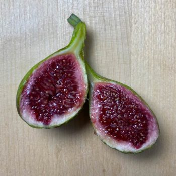 White Madeira Fig