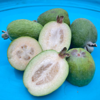 Unique Pineapple Guava