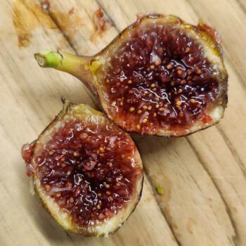 Natalina Fig Tree