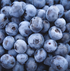 Brunswick Blueberry