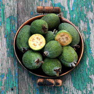 Apollo Pineapple Guava