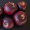 Arkansas Black Apple