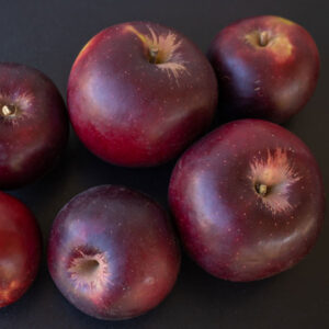 Arkansas Black Spur Apple