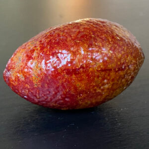 Australian Blood Lime