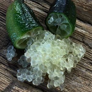 Australian Finger Lime