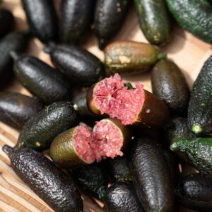 Australian Red Finger Lime