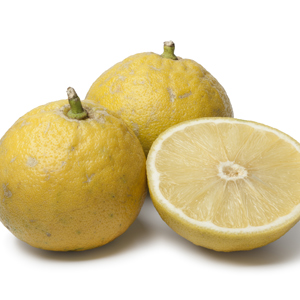 Bergamot Citrus