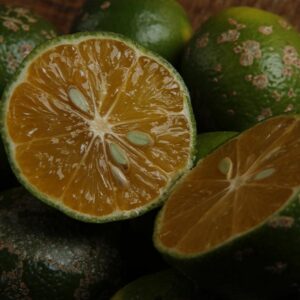 Borneo Rangpur Lime