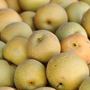 Combo Asian Pear