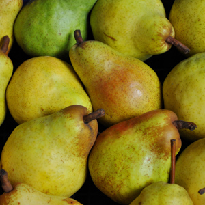 Combo European Pear