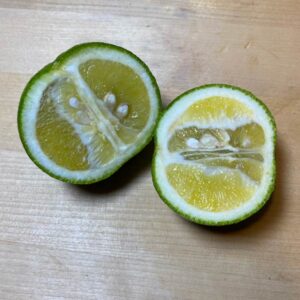Dunstan Hardy Citrus