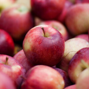 Empire Apple Tree