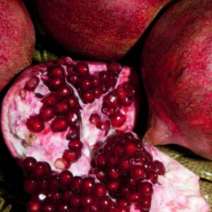 Eve Pomegranate