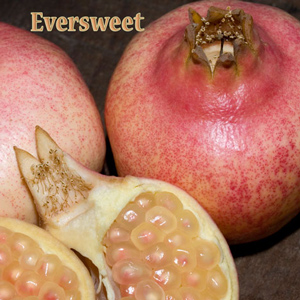 Eversweet Pomegranate