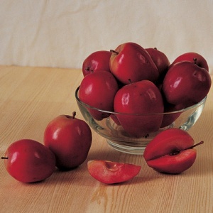 Firecracker™ Red Flesh Apple