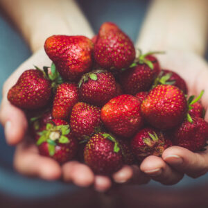 Fort Laramie Strawberry
