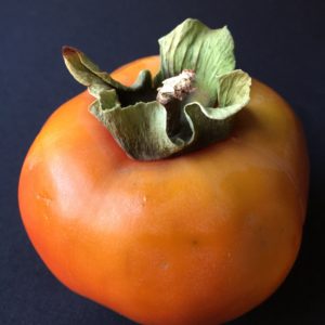 Giant Fuyu Asian Persimmon_