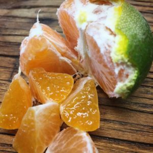 Kuno Wase Citrus