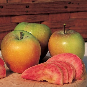 Mountain Rose Red Flesh Apple