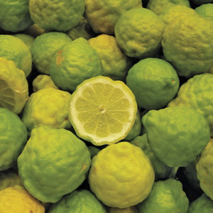 Makrut Thai Lime