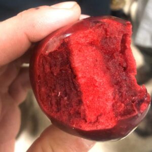 Niedzwetzkyana Red Fleshed Apple