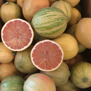 Variegated Pink Lemon