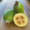 Ramsey Pineapple Guava