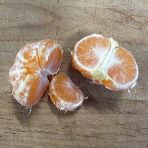 Shirokolistvennyi Satsuma