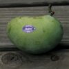 Allegheny™ Pawpaw