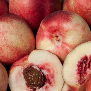 Arctic Jay Nectarine
