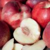 Arctic Star White Nectarine