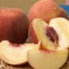 Arctic Supreme Peach