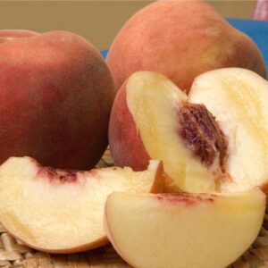 Arctic Supreme Peach