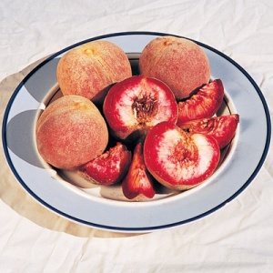 Autumn Rose Peach