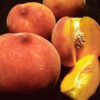 Eldorado Miniature Peach