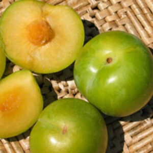 Emerald Drop® Pluot