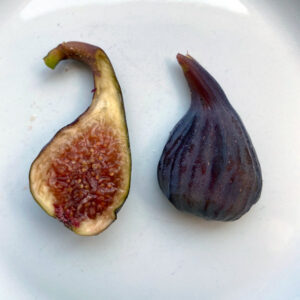Improved Celeste Fig